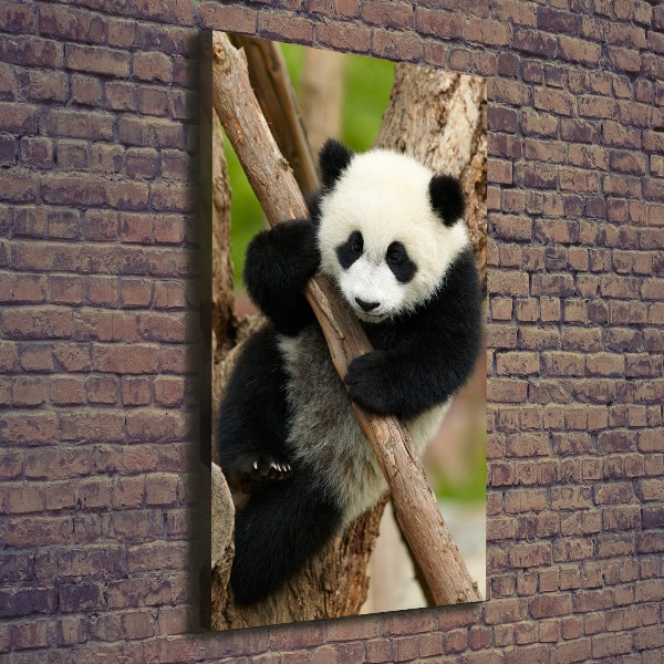 Verticale foto op canvas Panda in een boom
