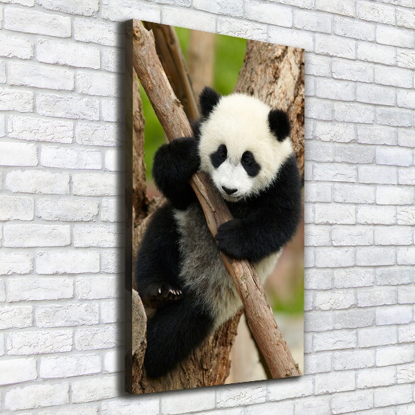 Verticale foto op canvas Panda in een boom