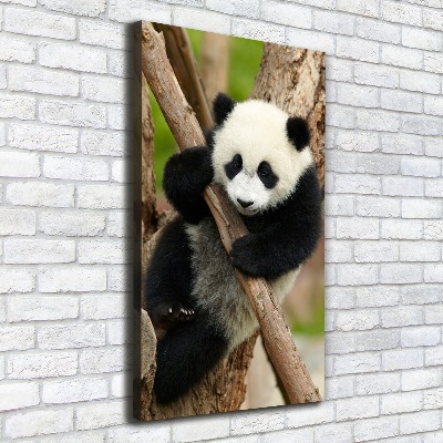 Verticale foto op canvas Panda in een boom
