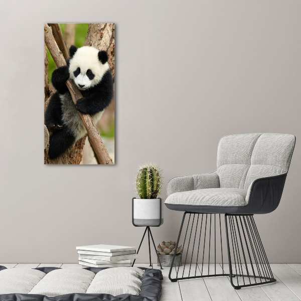 Verticale foto op canvas Panda in een boom