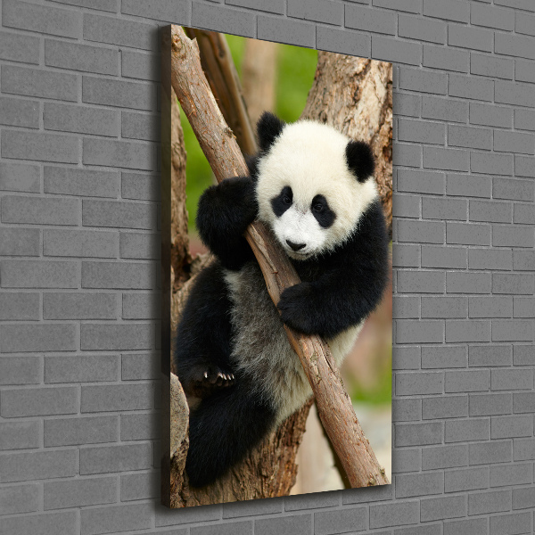 Verticale foto op canvas Panda in een boom