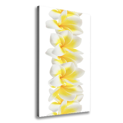 Verticale foto op canvas Plumeria