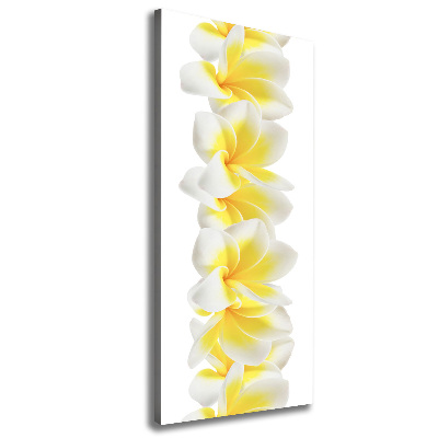 Verticale foto op canvas Plumeria