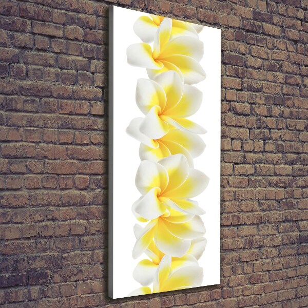 Verticale foto op canvas Plumeria
