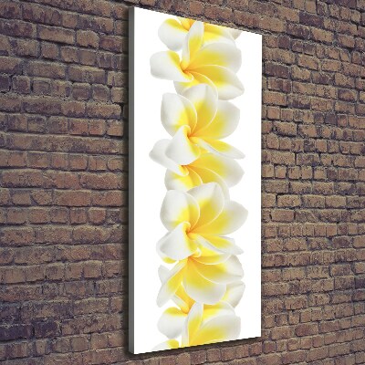 Verticale foto op canvas Plumeria