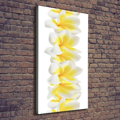 Verticale foto op canvas Plumeria