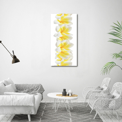 Verticale foto op canvas Plumeria