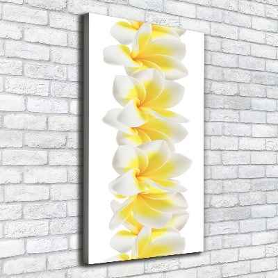 Verticale foto op canvas Plumeria
