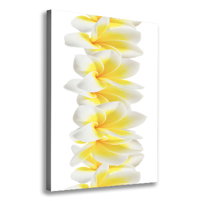 Verticale foto op canvas Plumeria