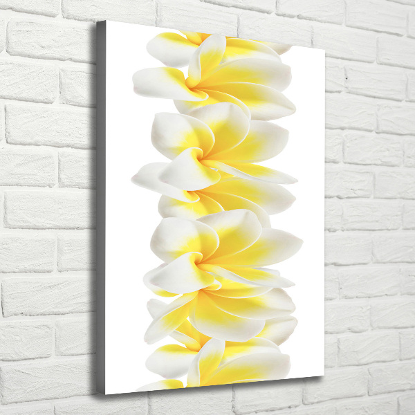 Verticale foto op canvas Plumeria