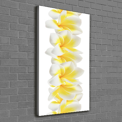 Verticale foto op canvas Plumeria