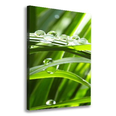 Verticale canvasfoto grassprieten