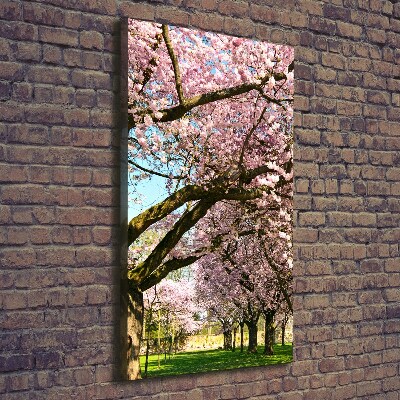 Verticale canvasfoto Kersenbomen