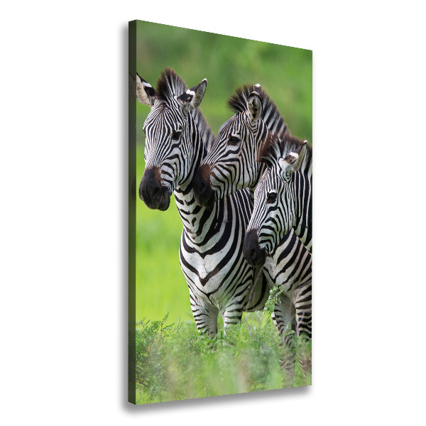 Verticale canvasfoto Drie zebra's