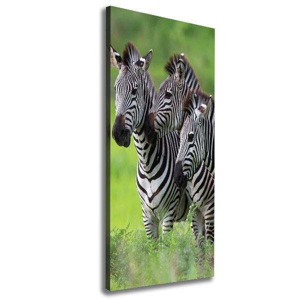 Verticale canvasfoto Drie zebra's