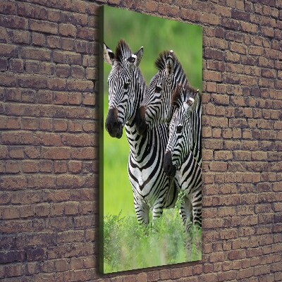 Verticale canvasfoto Drie zebra's
