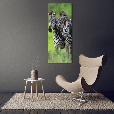 Verticale canvasfoto Drie zebra's