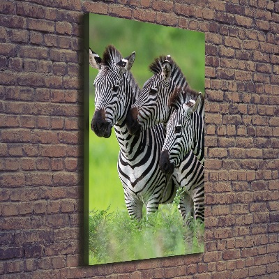 Verticale canvasfoto Drie zebra's