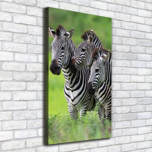 Verticale canvasfoto Drie zebra's