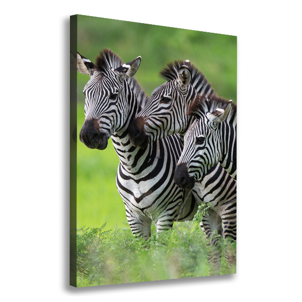 Verticale canvasfoto Drie zebra's