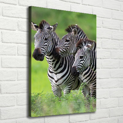 Verticale canvasfoto Drie zebra's
