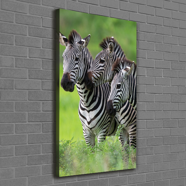 Verticale canvasfoto Drie zebra's