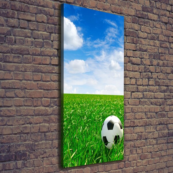 Verticale foto op canvas Voetbal op het veld