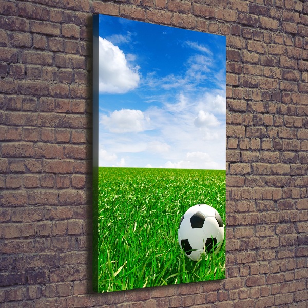 Verticale foto op canvas Voetbal op het veld