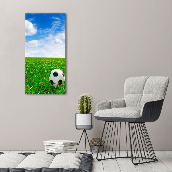Verticale foto op canvas Voetbal op het veld