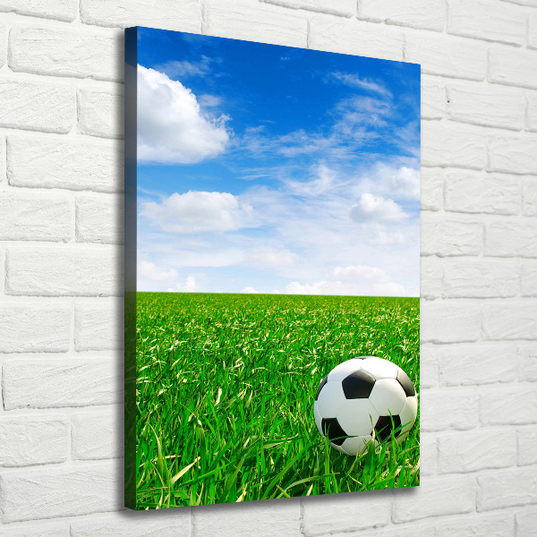 Verticale foto op canvas Voetbal op het veld