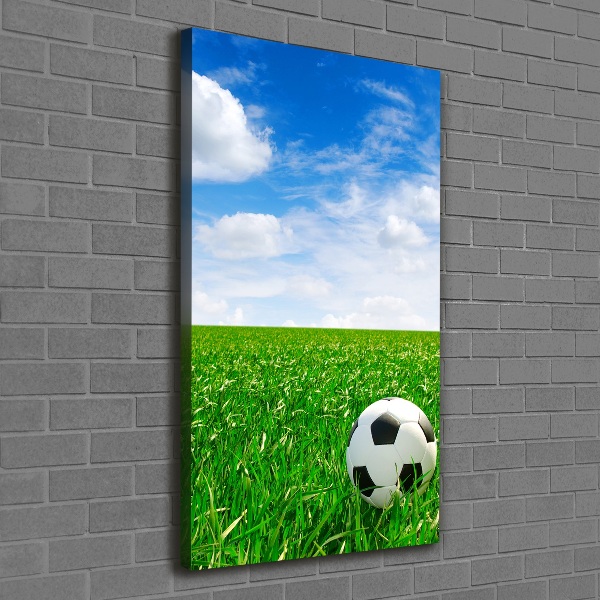 Verticale foto op canvas Voetbal op het veld