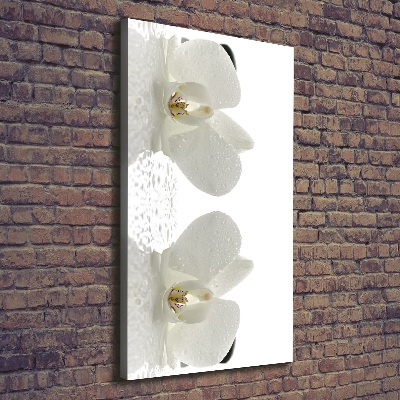 Verticaal schilderij op canvas Orchidee en stenen