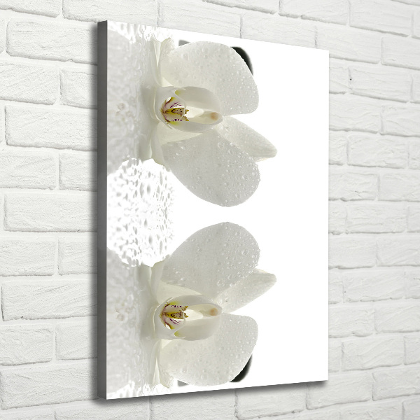 Verticaal schilderij op canvas Orchidee en stenen