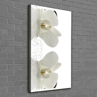 Verticaal schilderij op canvas Orchidee en stenen