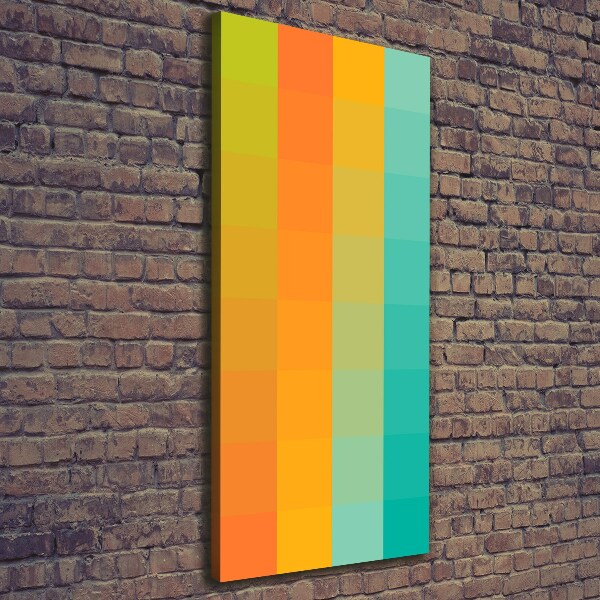 Verticale canvasfoto Kleurrijke vierkanten