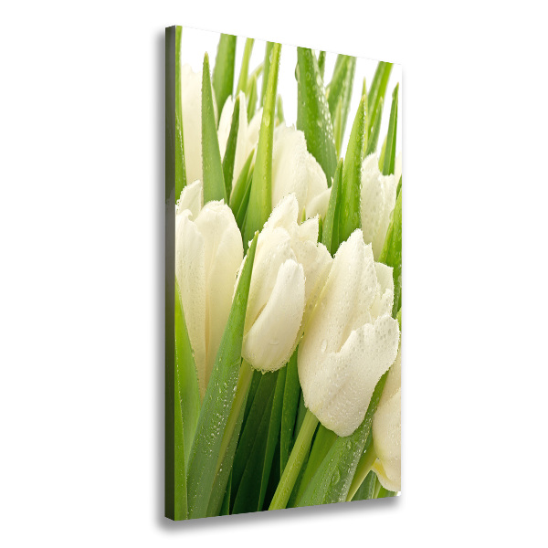 Verticale foto op canvas Witte tulpen