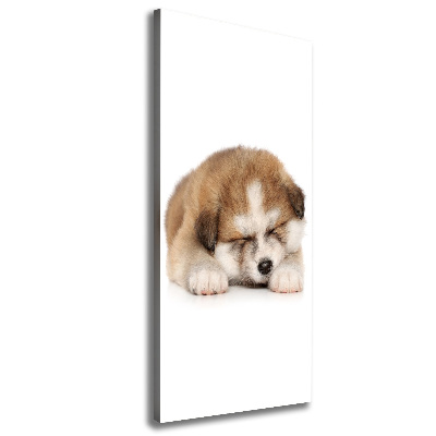 Verticale foto op canvas Akita-puppy