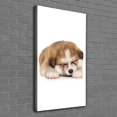 Verticale foto op canvas Akita-puppy