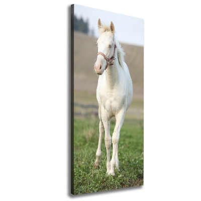 Verticale canvasfoto Albino paard