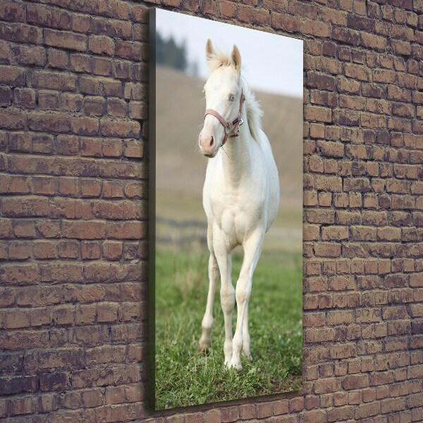 Verticale canvasfoto Albino paard