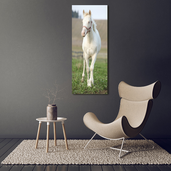 Verticale canvasfoto Albino paard