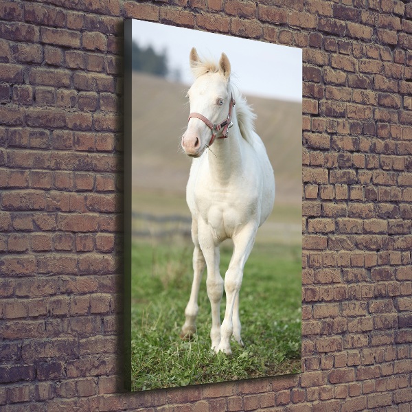 Verticale canvasfoto Albino paard