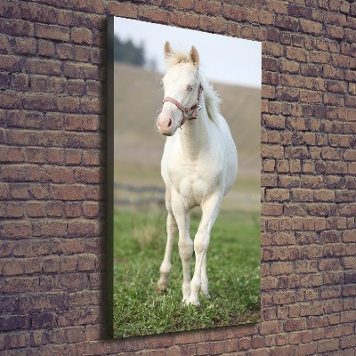 Verticale canvasfoto Albino paard