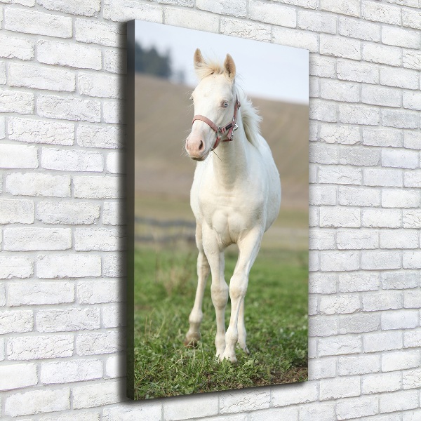 Verticale canvasfoto Albino paard