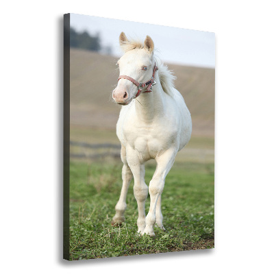 Verticale canvasfoto Albino paard