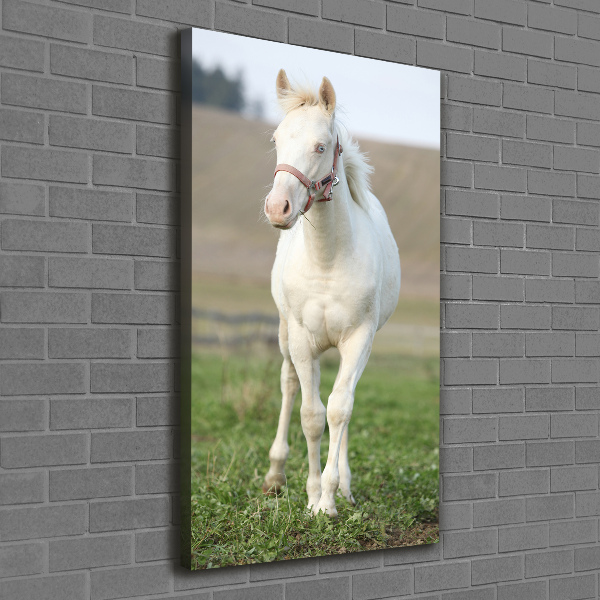 Verticale canvasfoto Albino paard