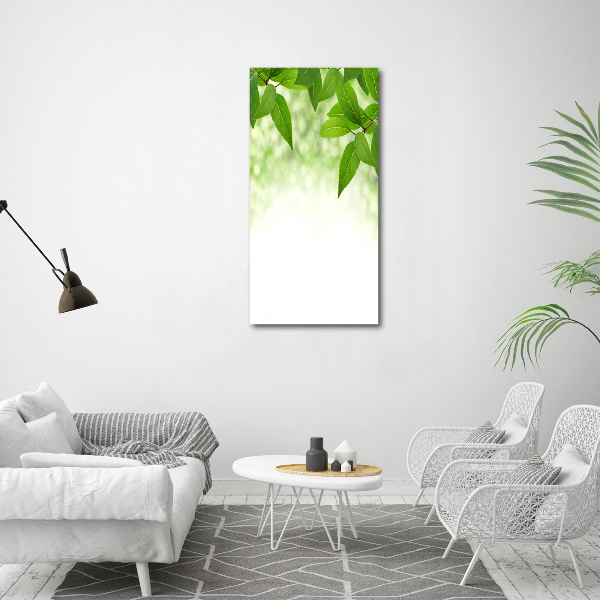 Verticale foto op canvas Groene bladeren