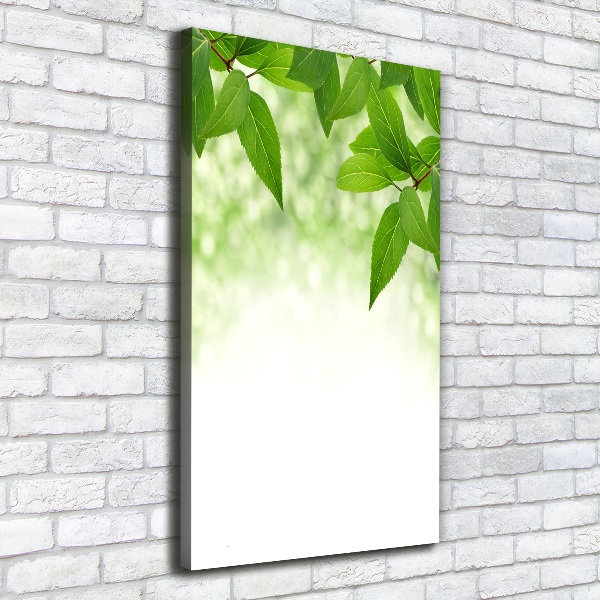 Verticale foto op canvas Groene bladeren