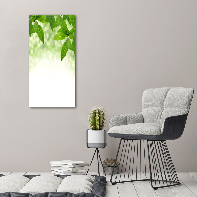 Verticale foto op canvas Groene bladeren