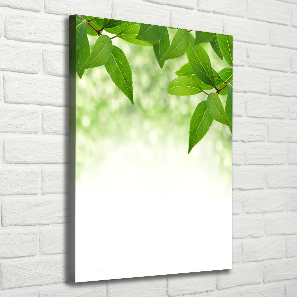 Verticale foto op canvas Groene bladeren
